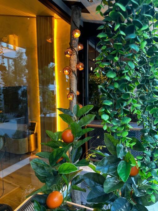 Thai Wabi-sabi Loft Holiday home Bangkok