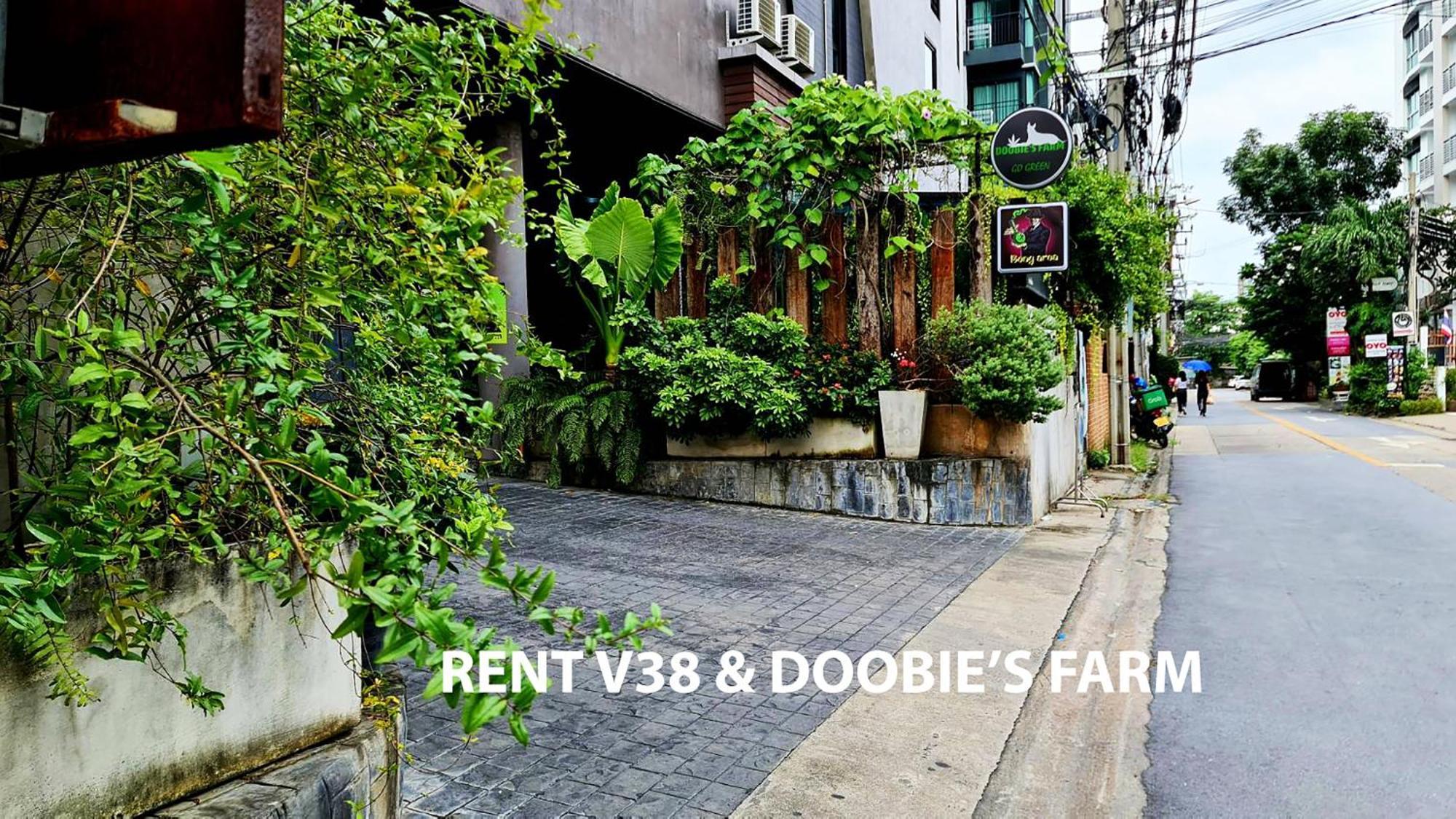 Rent V38 #420 Friendly Thailand Aparthotel