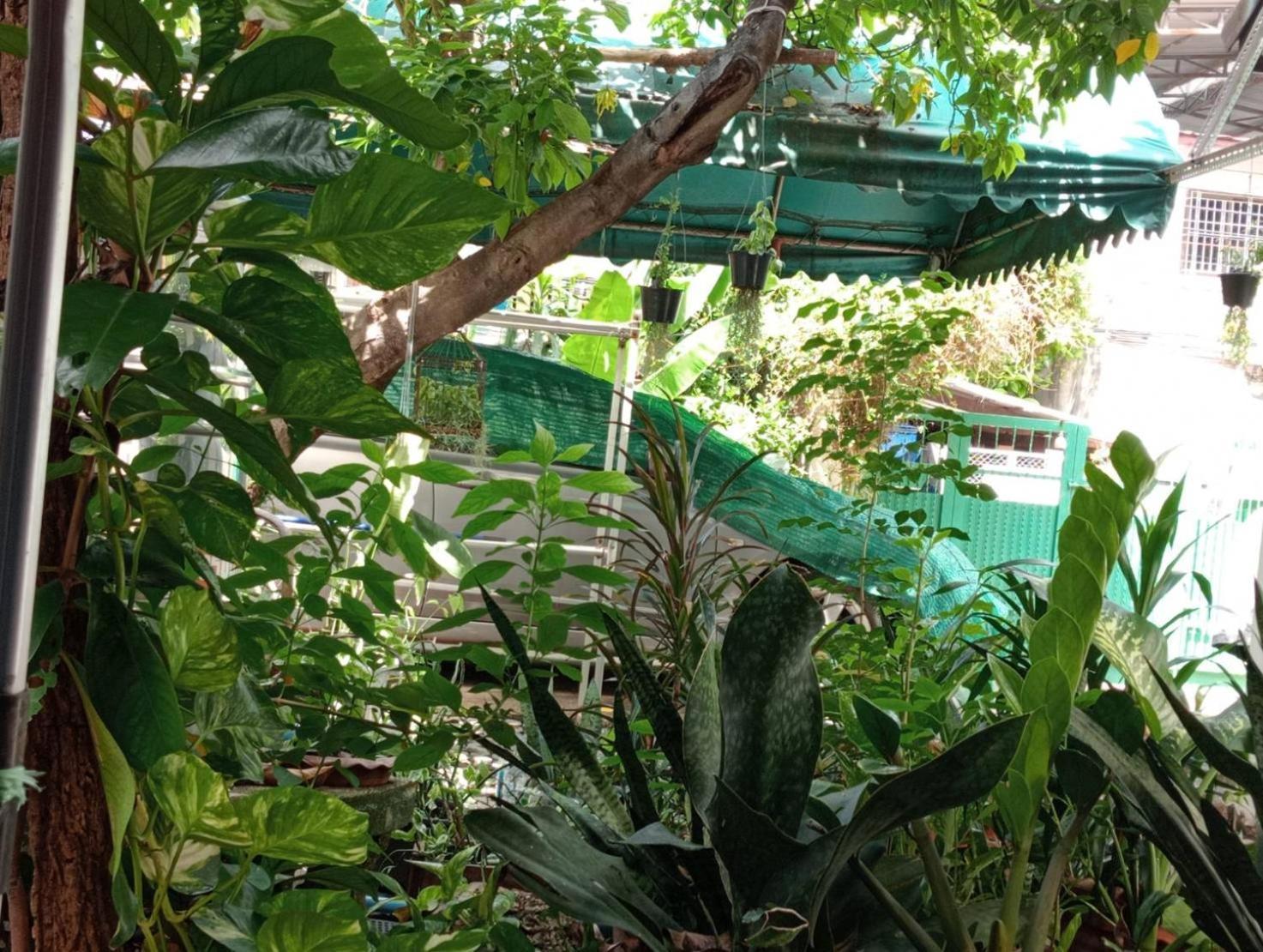 Gasthof Young&beautiful Bangkok