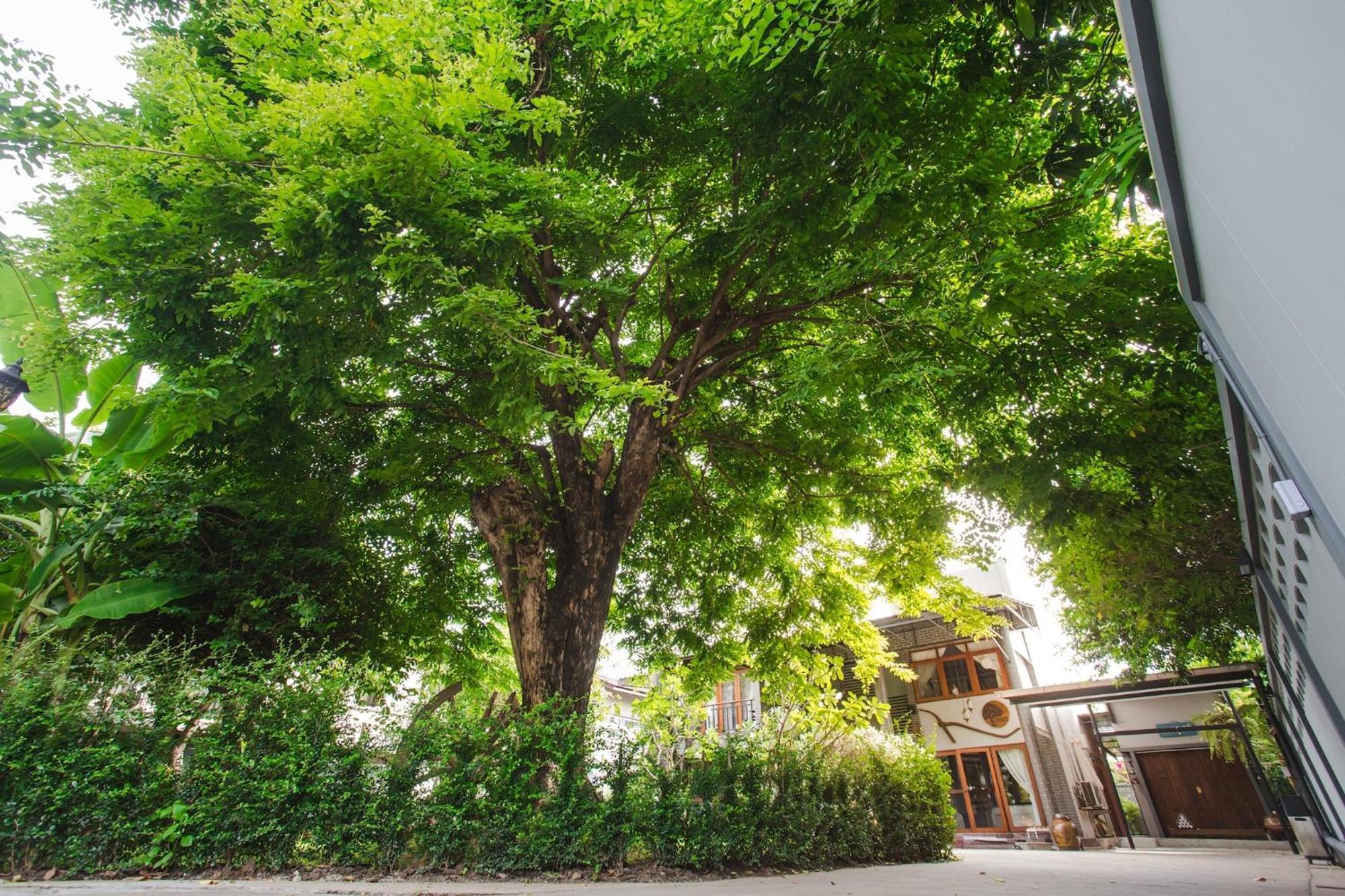 Bed & Breakfast Narra House Sukhumvit58 3*