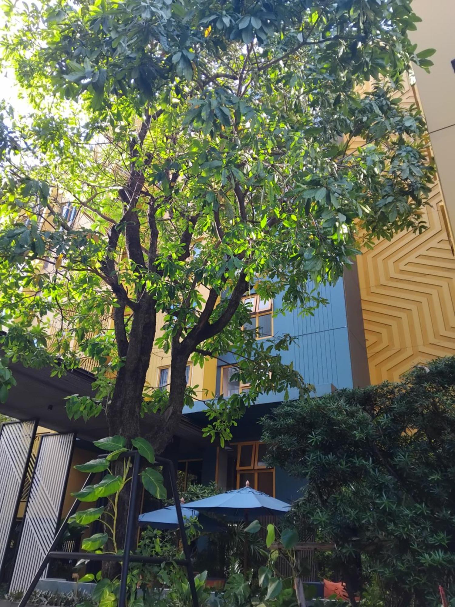 Blissfield At Bts Onnut Sukumvit 50 Apartment Bangkok