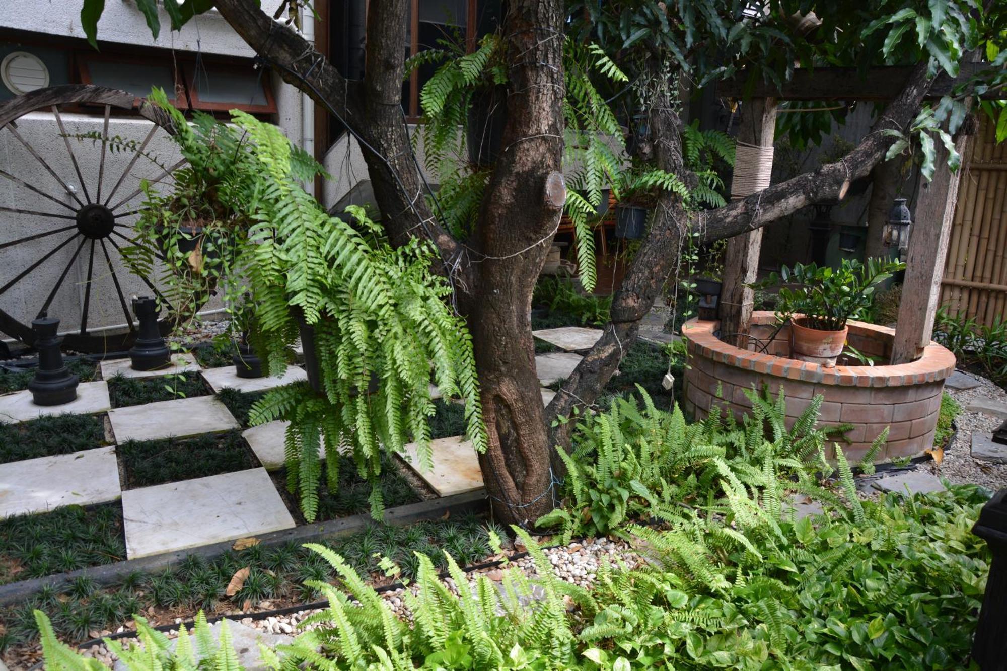Bed & Breakfast Narra House Sukhumvit58 Bangkok
