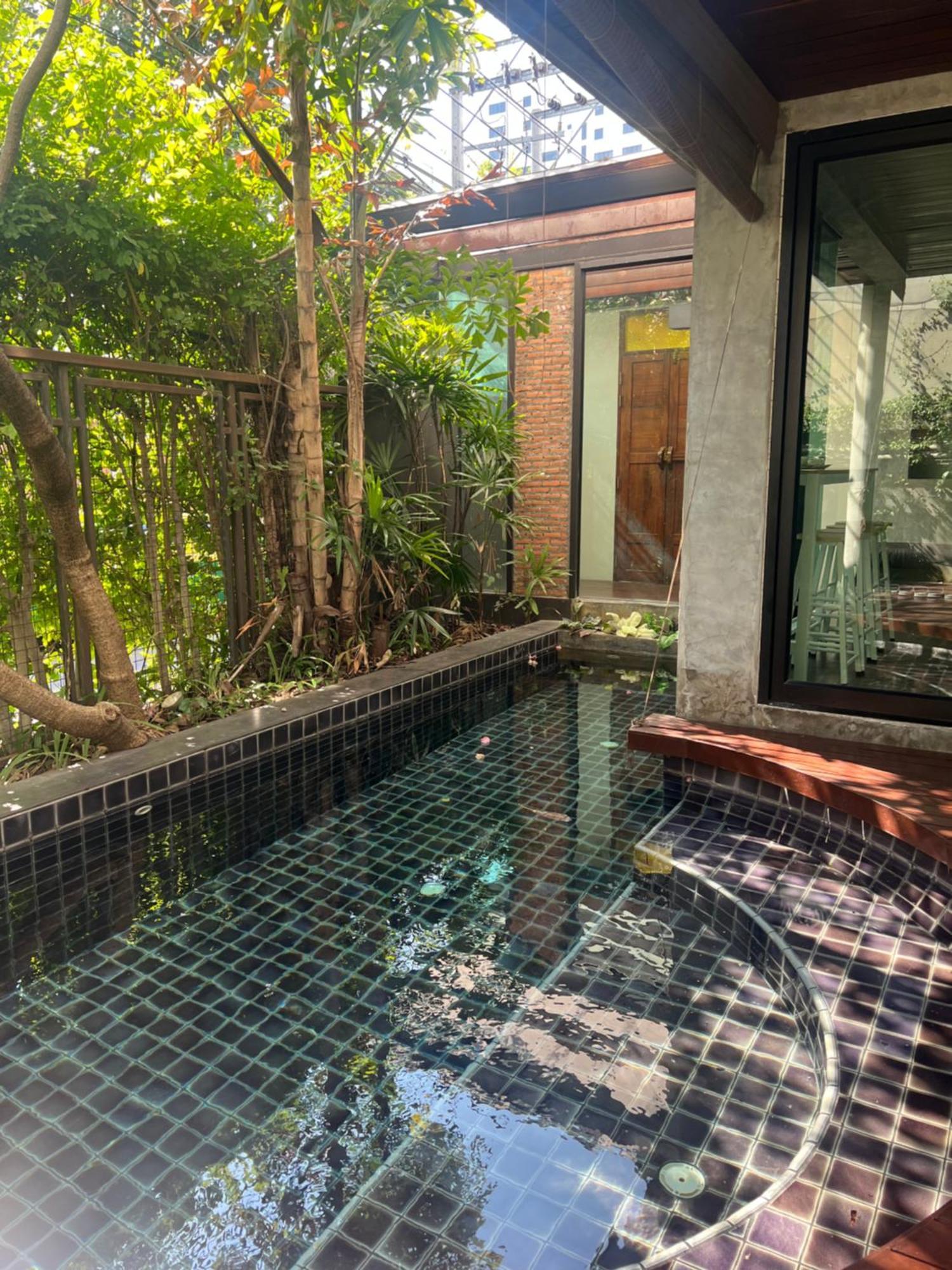 Luxury Oasis In