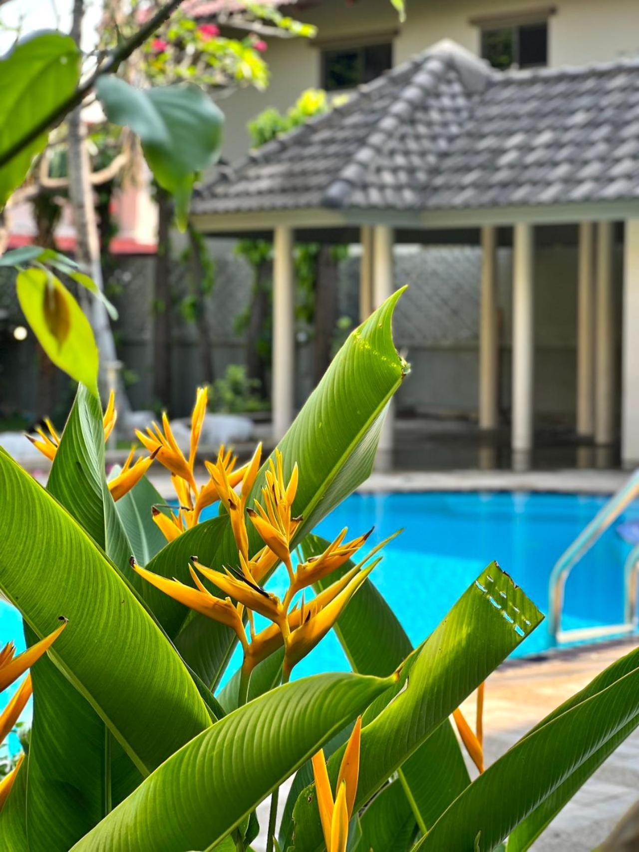 5br With Private Pool Sukhumvit 10mins Bts *