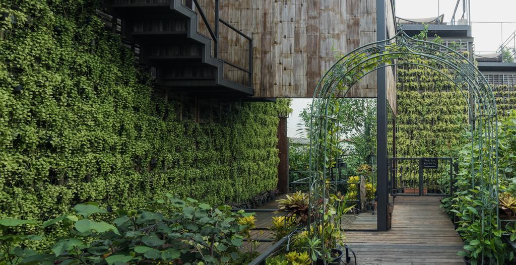 Tree House Bang Kachao Bangkok