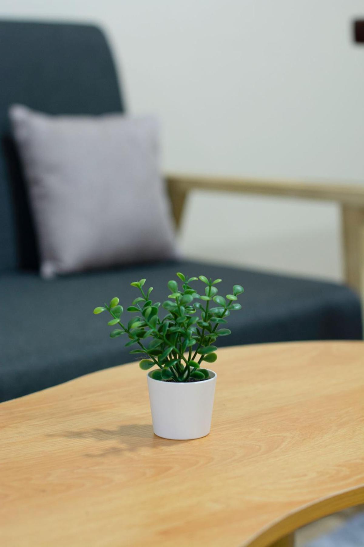 Prism House - Huge Pet Friendly - Bts Thonglor Apartment *