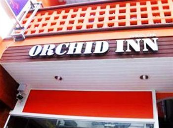 Orchid