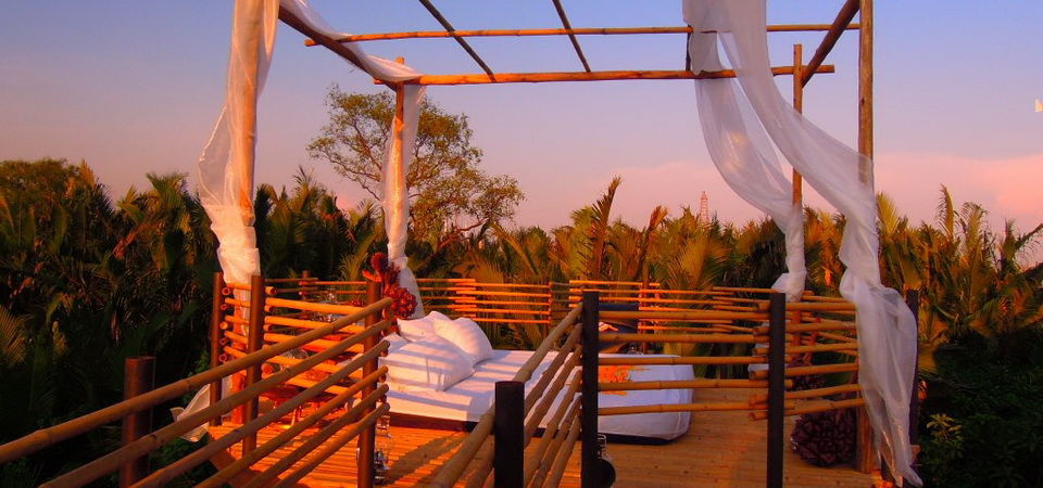 Tree House Bang Kachao