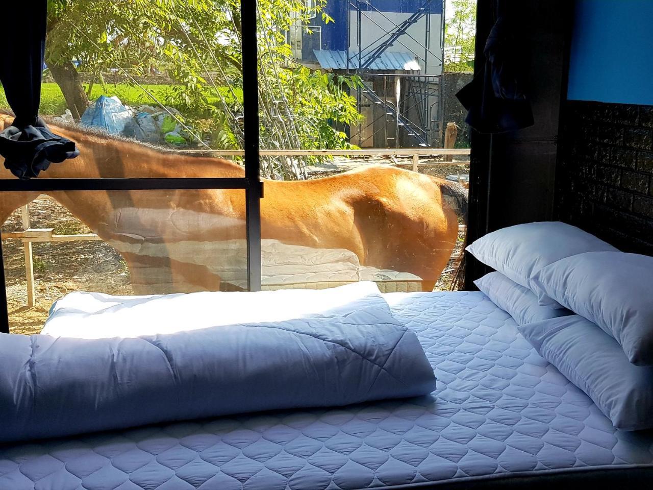 Rodeo House Bkk Vakantieboerderij *