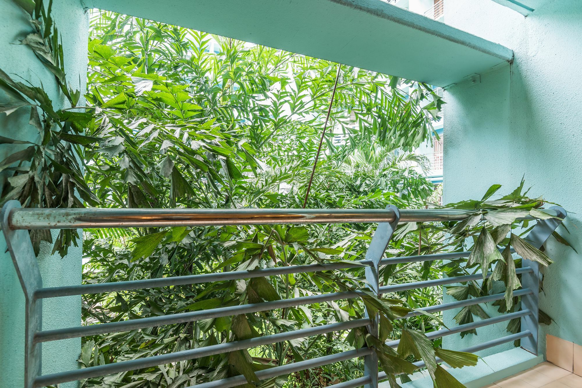 Apartment Garden