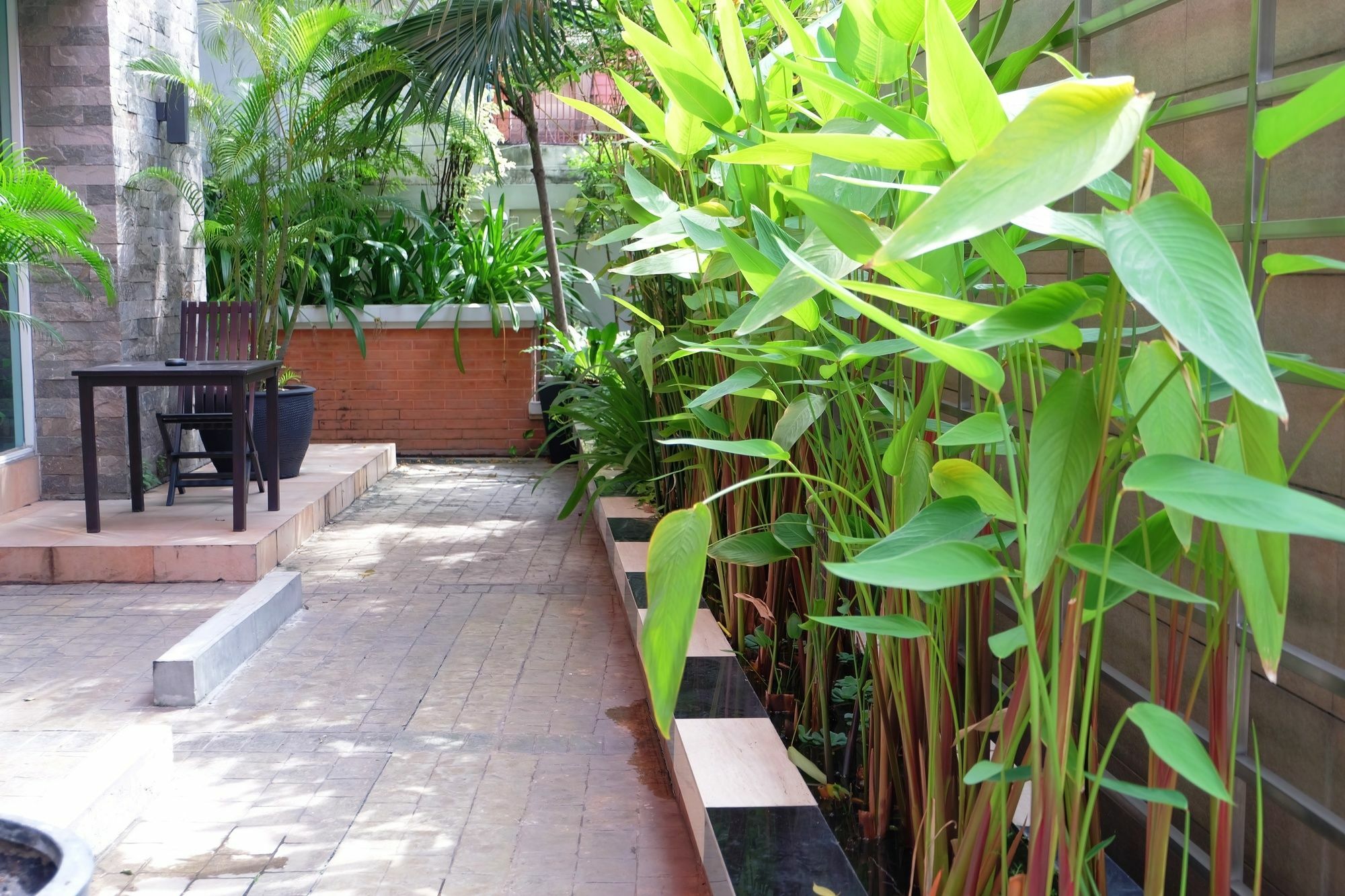 Paradiso 31 * Bangkok