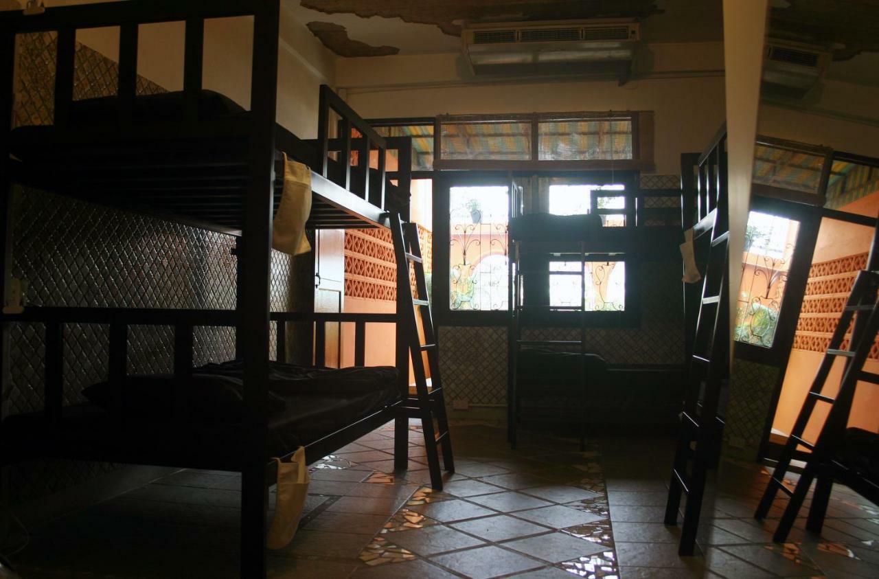 Hostel Born Free *
