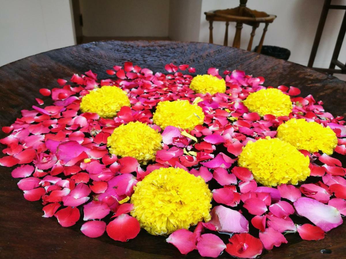 Pimthong Place Bed & Breakfast