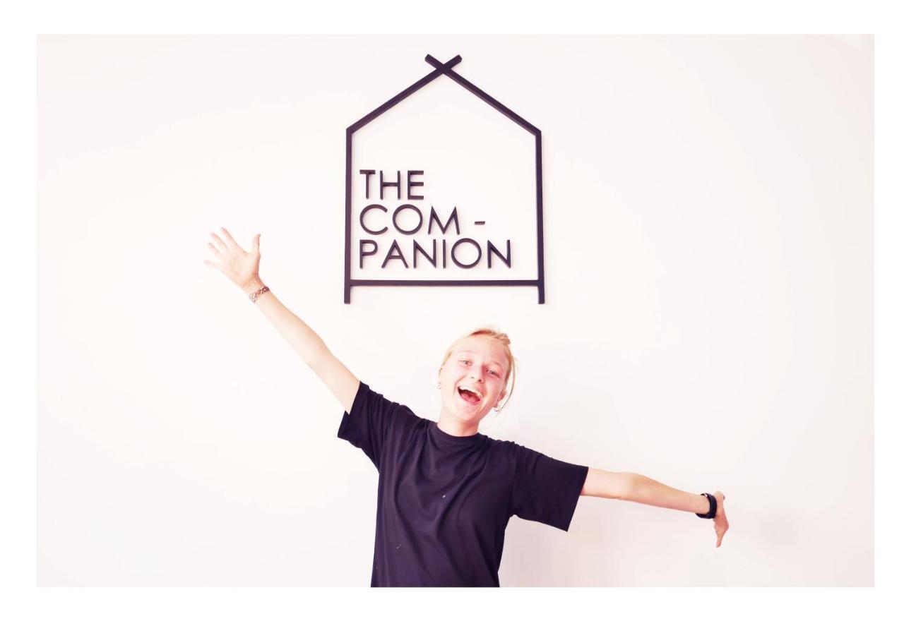 The Companion *