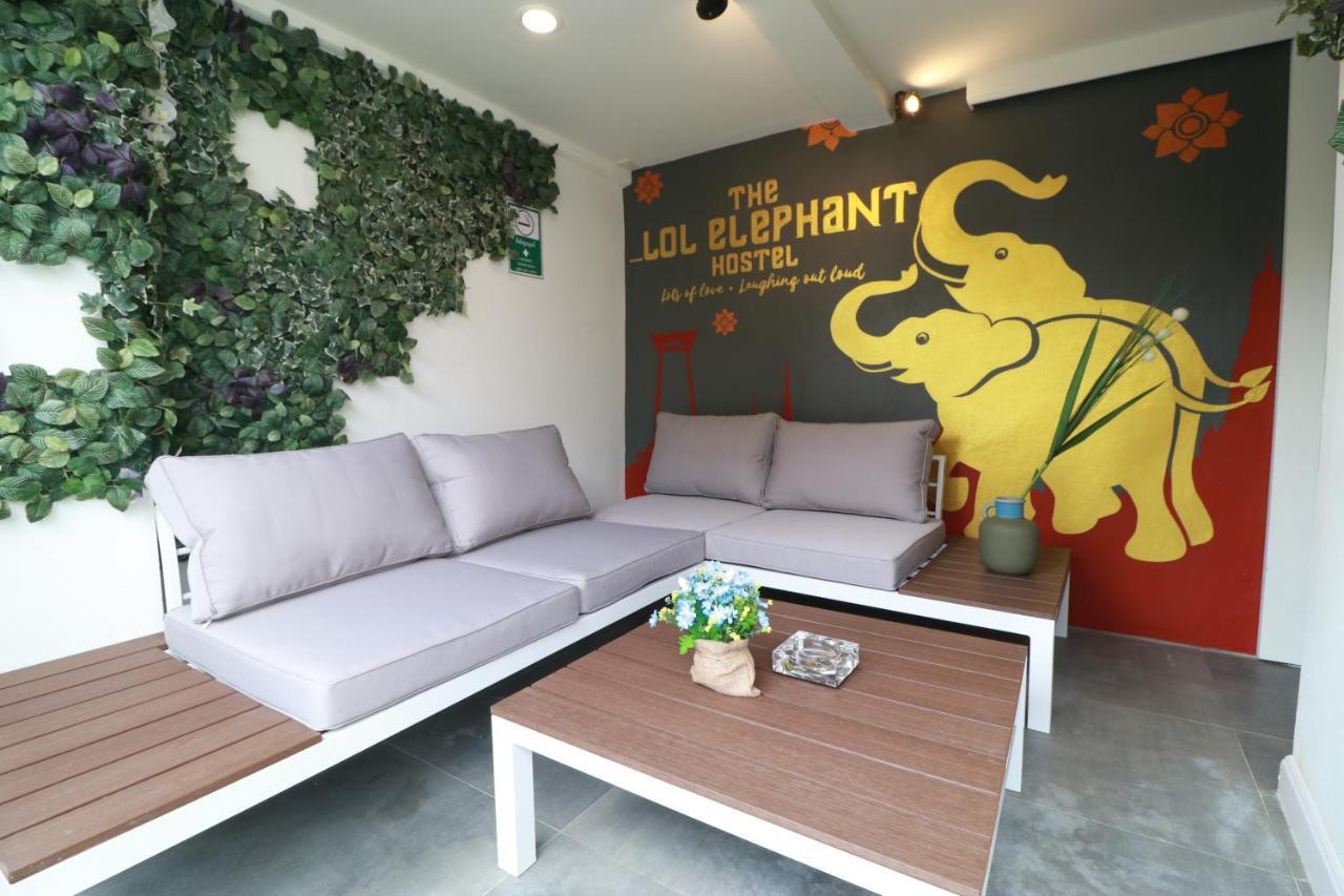 The Lol Elephant Hostel *