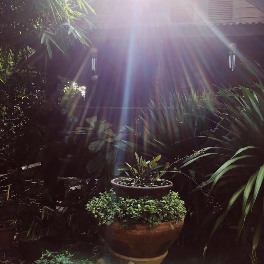 Garden * Bangkok