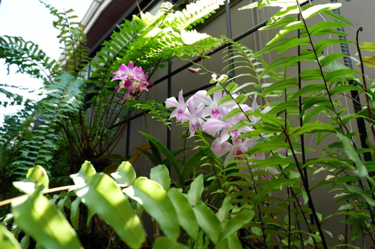 Bed Place Hostel Bangkok